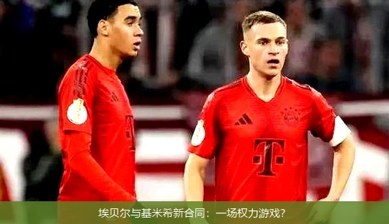 埃贝尔与基米希新合同:一场权力游戏?