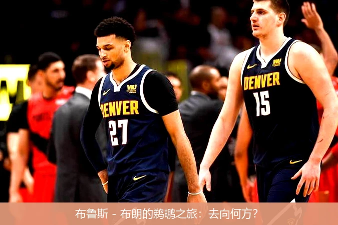 布鲁斯 - 布朗的鹈鹕之旅：去向何方？