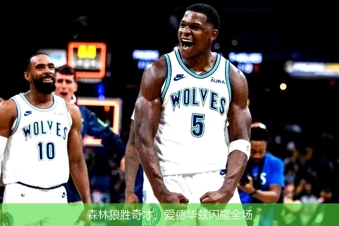 森林狼胜奇才，爱德华兹闪耀全场