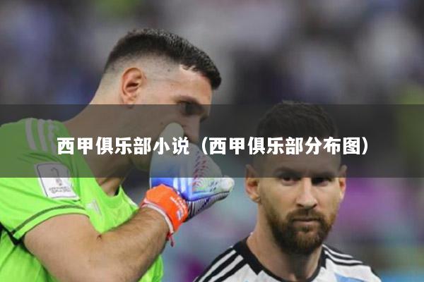 西甲俱乐部小说（西甲俱乐部分布图）